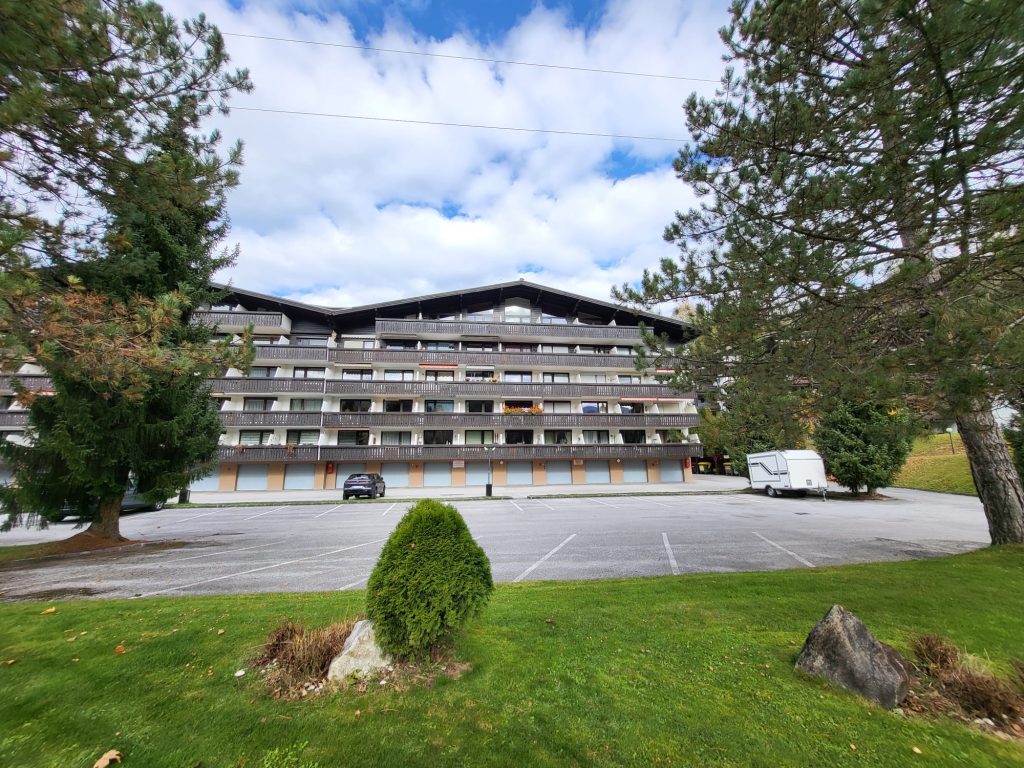 voldoende parkeerplaatsen bij appartment in Maria Alm